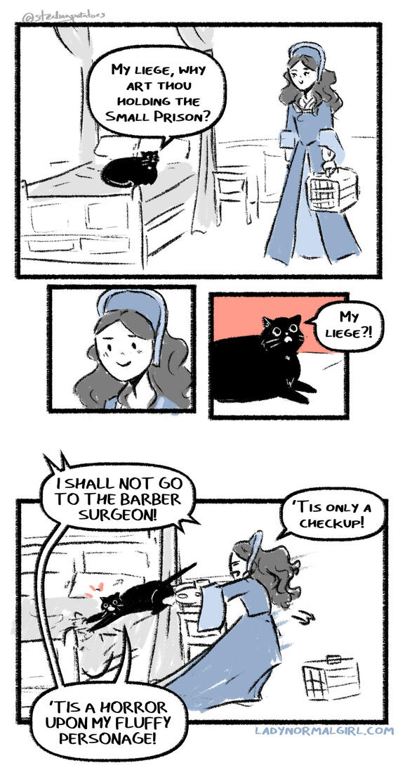 cat carrier