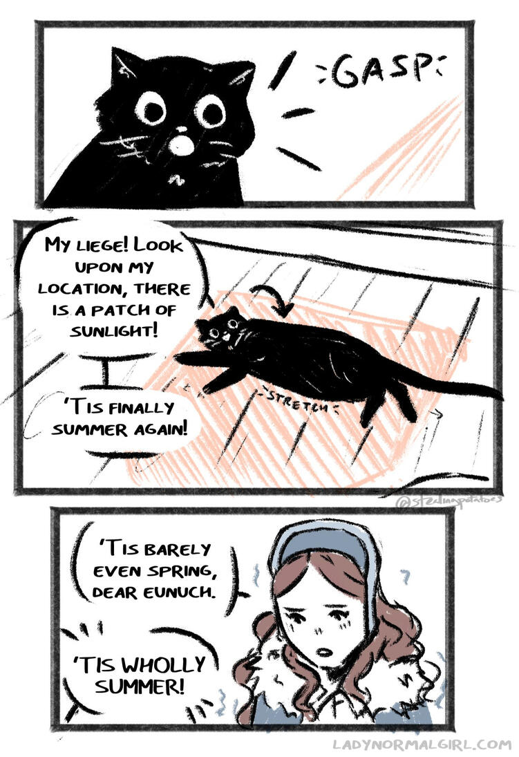 cat summer